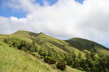Tipik manzara, Sao Jorge Adası, Azores