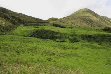 Tipik Sao Jorge adası manzarası, Azores