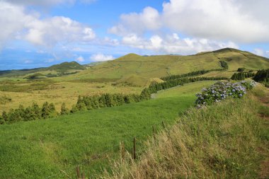 Tipik Sao Jorge adası manzarası, Azores