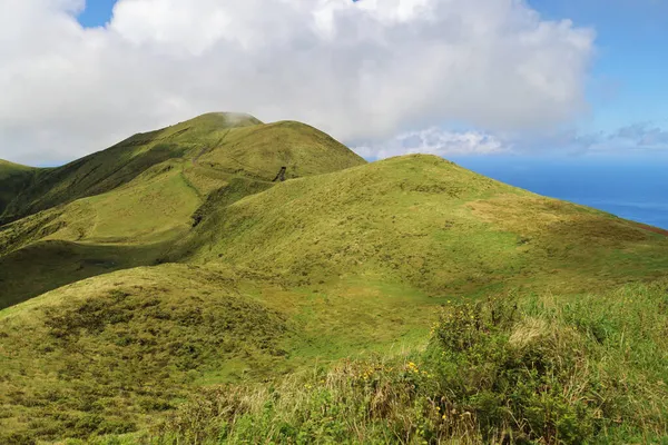 Typische Landschaft, Insel Sao Jorge, Azoren — Stockfoto