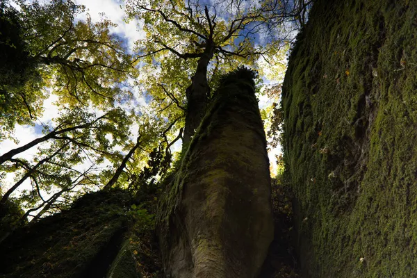 Bosque de La Verna, Toscana, Italia — Foto de Stock