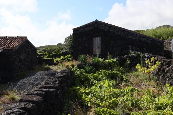 Aldeia piscatória antiga, Ilha do Pico, Açores — Fotografia de Stock