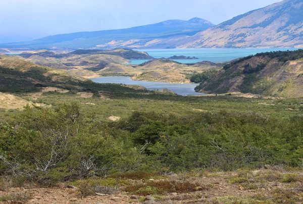 Characteristic landscape of Patagonia, Chile — стоковое фото