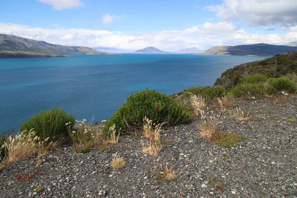 Παταγονικό τοπίο με τη λίμνη Toro στο παρασκήνιο, Χιλή — Φωτογραφία Αρχείου