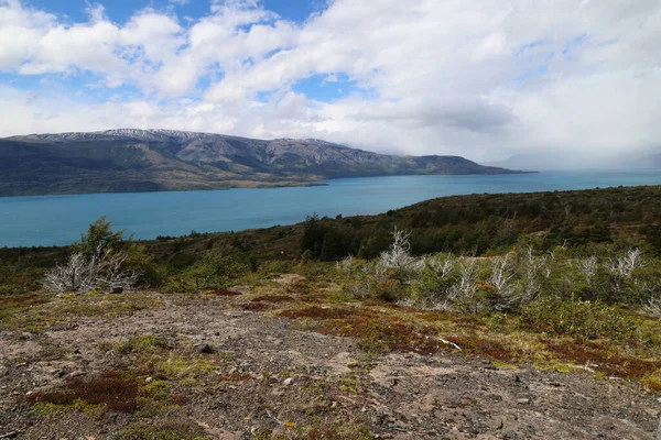 Patagonian landscape with Lake Toro in the background, Chile — Stock Fotó