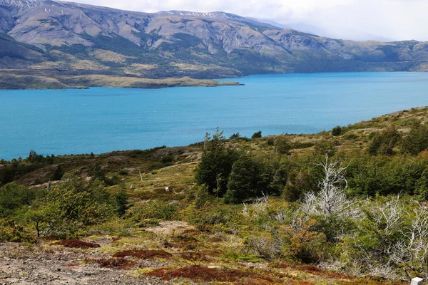 Patagonian landscape with Lake Toro in the background, Chile — Stock Fotó