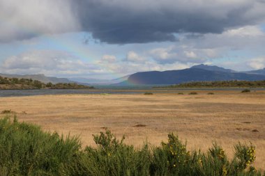 Characteristic landscape in the Torres del Paine Park, Chile