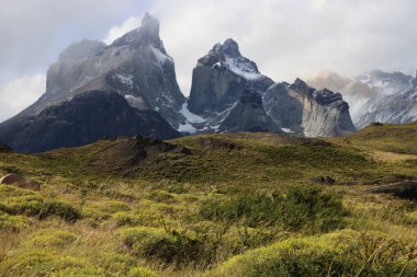 Patagonian landscape with Cuernos del Paine in the background, Chile