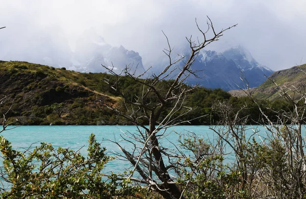 Characteristic landscape in the Torres del Paine Park, Chile — стоковое фото