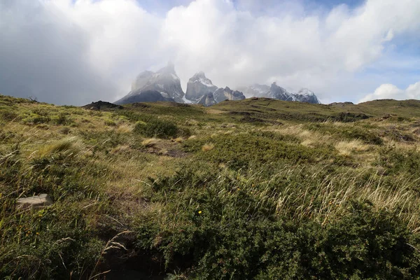 Paisaje patagónico con Cuernos del Paine al fondo, Chile — Foto de Stock