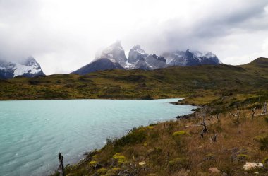 Lago Pehoe, Şili 'nin turkuazıyla Torres del Paine NP' nin manzarası