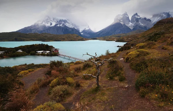 Krajina Torres del Paine NP s tyrkysem Lago Pehoe, Chile — Stock fotografie