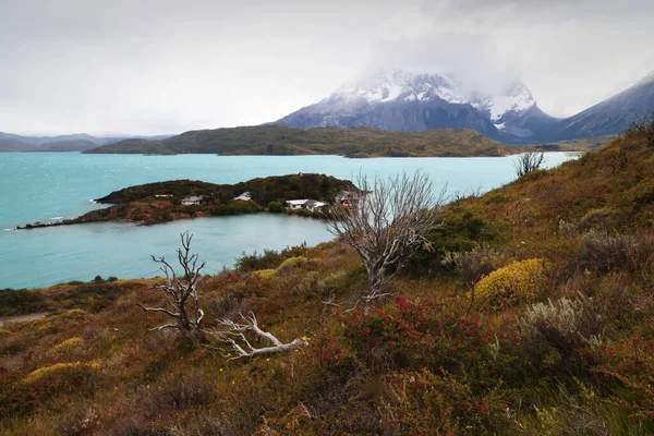 Krajobraz Torres del Paine NP z turkusowym krajobrazem Lago Pehoe, Chile — Zdjęcie stockowe