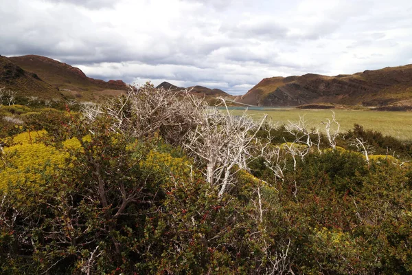 Parque Nacional Torres del Paine, Chile —  Fotos de Stock