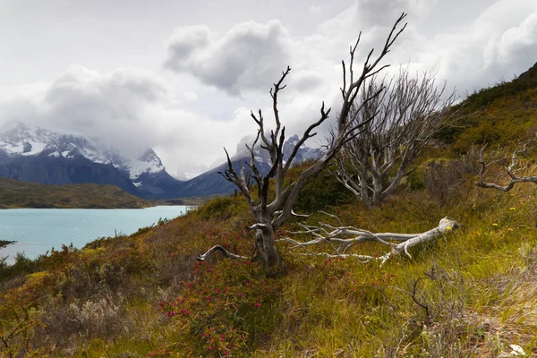 Krajina v Torres del Paine National Park, Chile — Stock fotografie