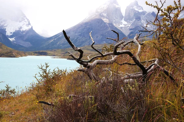 Paisaje de Torres del Paine NP con la turquesa de Lago Pehoe, Chile — Foto de Stock