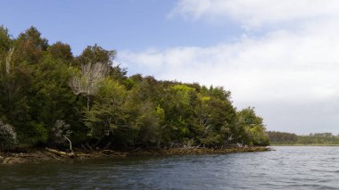 Chepu Nehri, Chiloe, Şili