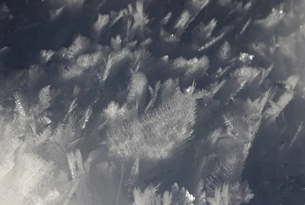 Όμορφοι κρύσταλλοι πάγου στο χιόνι της Val Saisera, Ιταλία — Φωτογραφία Αρχείου