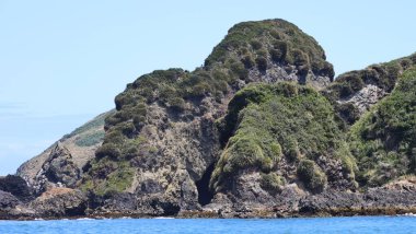 Isolotes de Punihuil, Şili