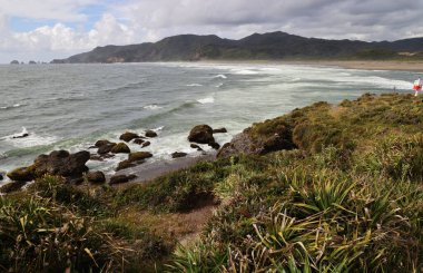 Rio Chepu 'nun ağzındaki Chiloe adasının kıyısında. Şili