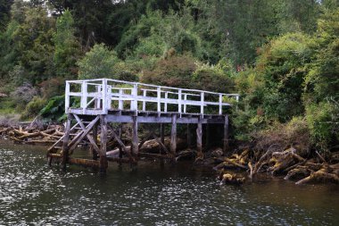 Şili 'nin Chiloe adasındaki Rio Chepu kıyısında.