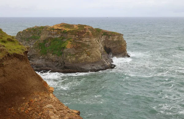 Kivinen valtameren rannikko Chiloe Islandilla, Chilessä — kuvapankkivalokuva