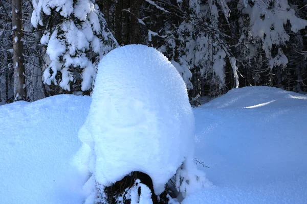 Afbeelding van de witte sneeuw van Val Saisera, Italië — Stockfoto