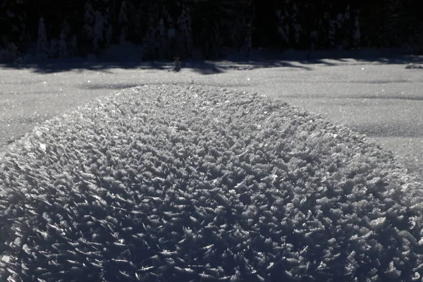 De sneeuw van Val Saisera bedekt met ijskristallen, Italië — Stockfoto