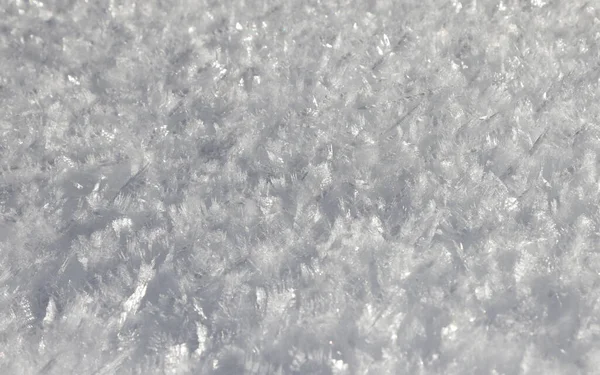 Το χιόνι της Val Saisera καλύπτεται με κρυστάλλους πάγου, Ιταλία — Φωτογραφία Αρχείου