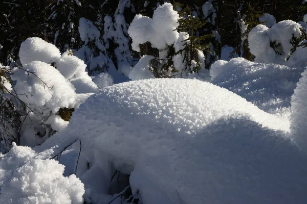 Afbeelding van de witte sneeuw van Val Saisera, Italië — Stockfoto