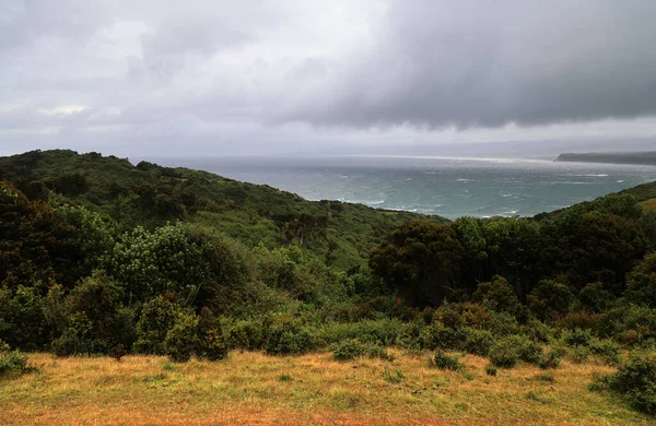 Den typiska vegetationen på ön Chiloe, Chile — Stockfoto