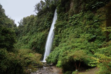 Şili, Chiloe Adası 'ndaki Tocoihue şelalesi.