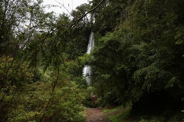 Tocoihue vattenfall i Chiloe Island, Chile — Stockfoto