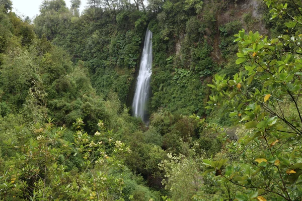 A cachoeira Tocoihue em Chiloe Island, Chile — Fotografia de Stock