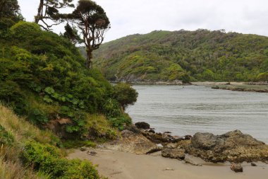 Şili, Duhatao Körfezi 'nin karakteristik manzarası
