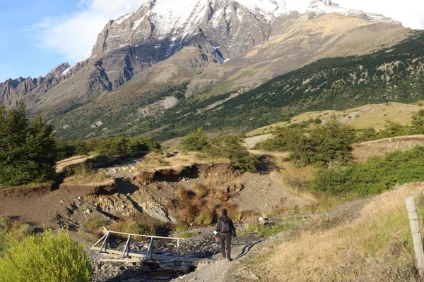 Vue Sur Les Montagnes Sur Chemin Mirador Torres Del Paine — Photo