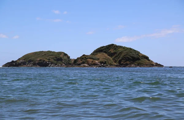 Het Monumento Natural Islotes De Punihuil in Chiloe Island, Chili — Stockfoto