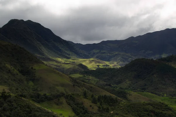 Vegetação típica da área perto de Popayan, Colômbia — Fotografia de Stock