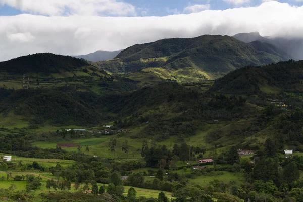 Typical vegetation of the area near Popayan, Colombia — Stock Photo, Image