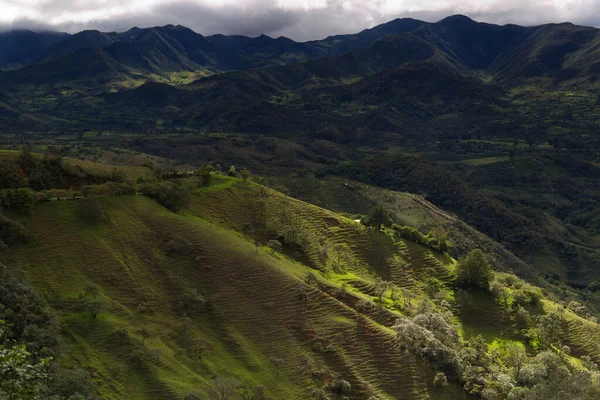 Typische Vegetation der Gegend um Popayan, Kolumbien — Stockfoto