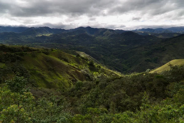 Typical vegetation of the area near Popayan, Colombia — Stock Photo, Image
