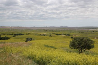 Badlands Ulusal Parkı Güney Dakota 'nın güneybatısı, Birleşik Devletler