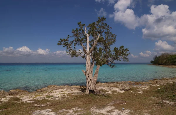 El espléndido mar de la Bahía de Cochinos, Cuba — Foto de Stock