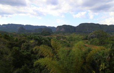 Küba, Vinales 'te Mogotes karakteristiği