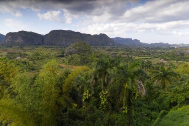 Küba, Vinales 'te Mogotes karakteristiği