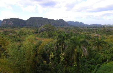 Küba, Vinales 'te Mogotes karakteristiği