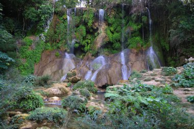 Küba tropik ormanlarındaki Nicho şelaleleri