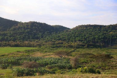 The Valley de los Ingenios, Küba