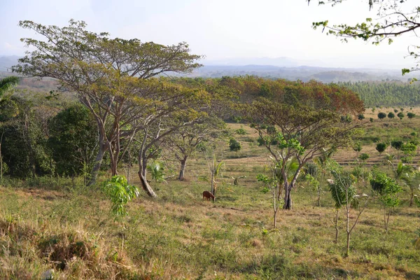 The Valley de los Ingenios, Küba