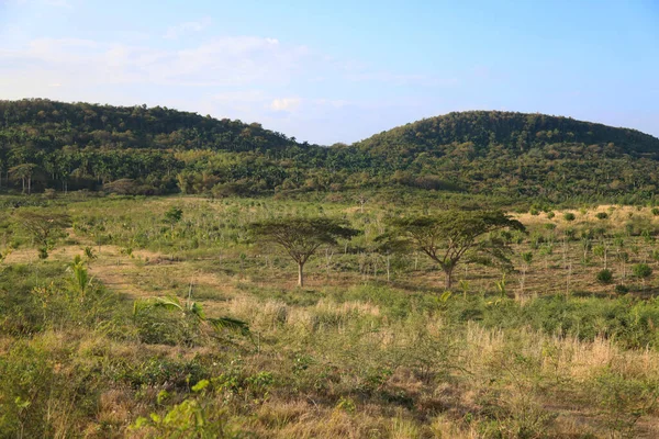 The Valley de los Ingenios, Küba